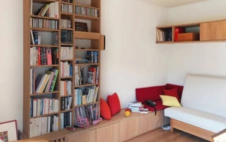 salon avec bibliotheque